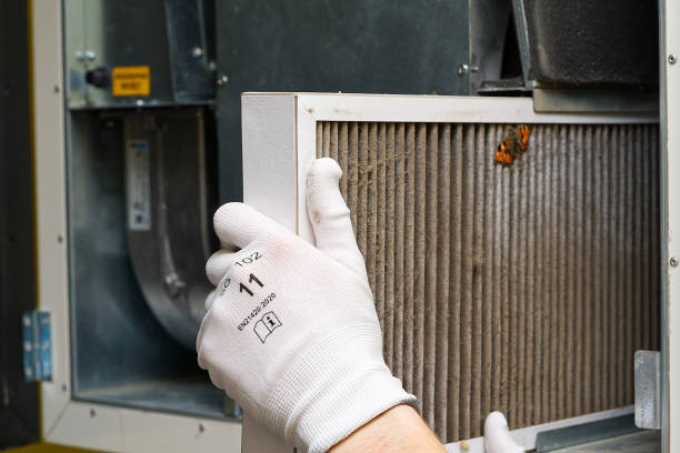 Best Ductwork Cleaning Services  in Taft, FL
